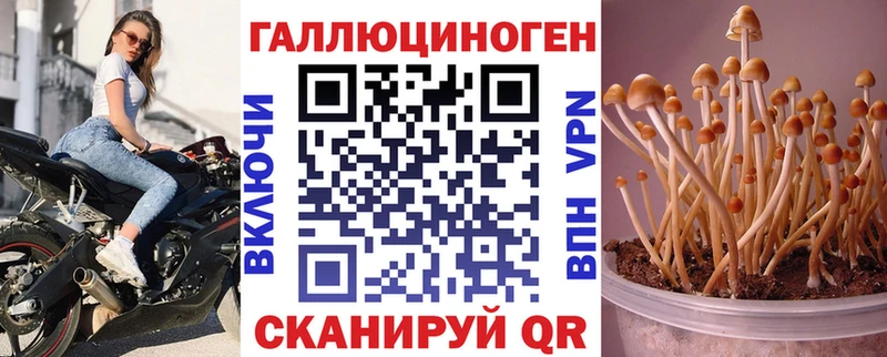 Галлюциногенные грибы мухоморы  Купить закладки  Нюрба 